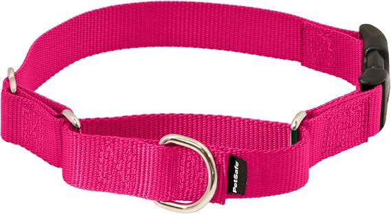 PetSafe Martingale Quick-Snap Dog Collar, Raspberry Pink, 3/4 in, Medium | Tightens When Dog Pulls, Loosens When Calm for a Secure, Escape-Resistant Fit, Durable Nylon, Quick-Snap Buckle