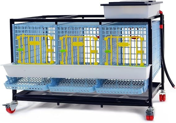 Partridge Cage - 1 Layer (Power-Washable, Durable, ABS Plastic) | Hatching Time