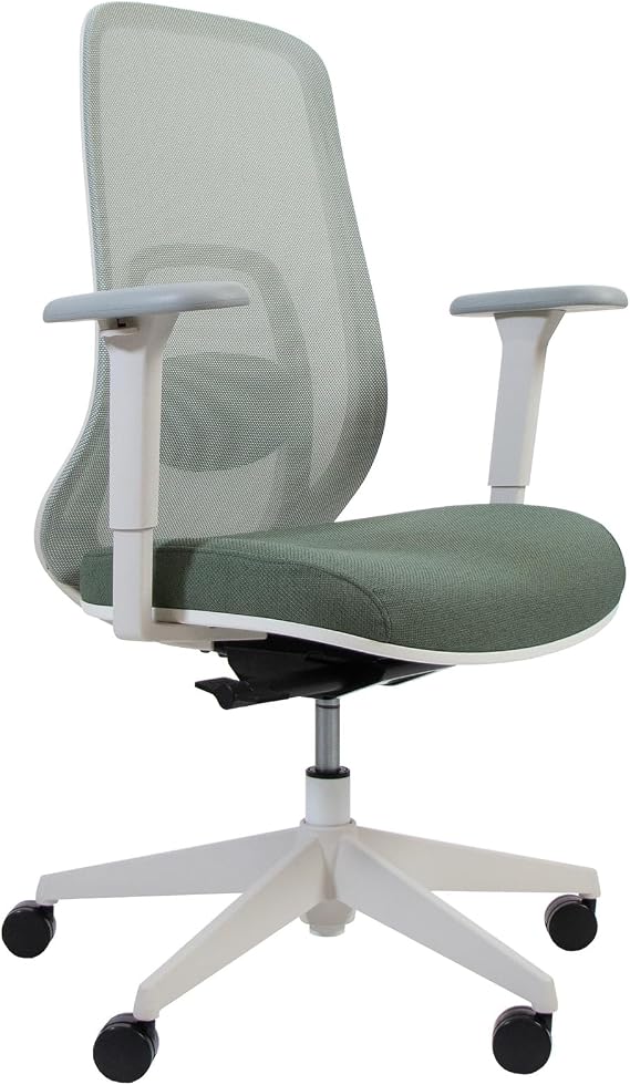 Vari Ascent Ergonomic Desk Chair Cloud White/Eucalyptus