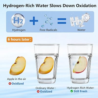2025 Hydrogen Water Bottle, Portable Hydrogen Water Bottle Generator w SPEPEM Tech, Rechargeable Hydrogen Water Ionizer Machine, Rich Water Maker Cup Glass Bottles for Exercise, Office, Gift