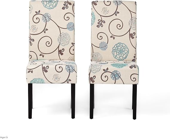 Dining Room Chairs the Comfy Modern Dining Chair Home & Kitchen Dinning Chairs Modern Dining Chairs Kitchen Island Chairs for Living Bedroom Kitchen Chairs Set of 2