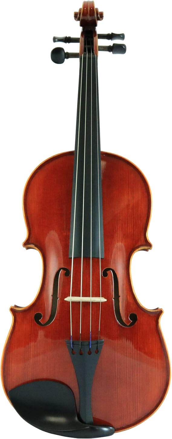 D'Luca CA400VA-12 12-Inch Orchestral Series Handmade Viola Outfit