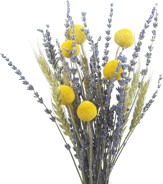Dried Flower Bouquet Natural Straw Flowers Dried Flowers Craspedia Globes Dried Flowers Lavender Decorative Wheat Flowers for Wedding Centrepieces Home Balcony Party Table Vase Christmas