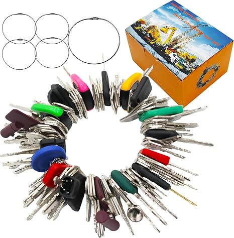 100 Non-Duplicate Full Range Heavy Master Equipment Key Set
