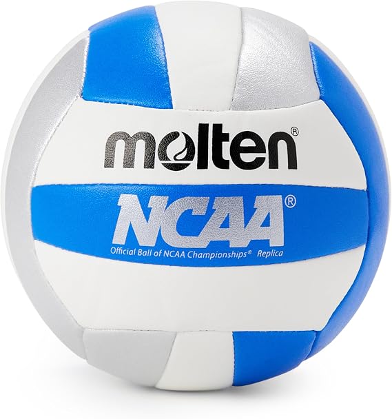 Molten Mini Volleyball