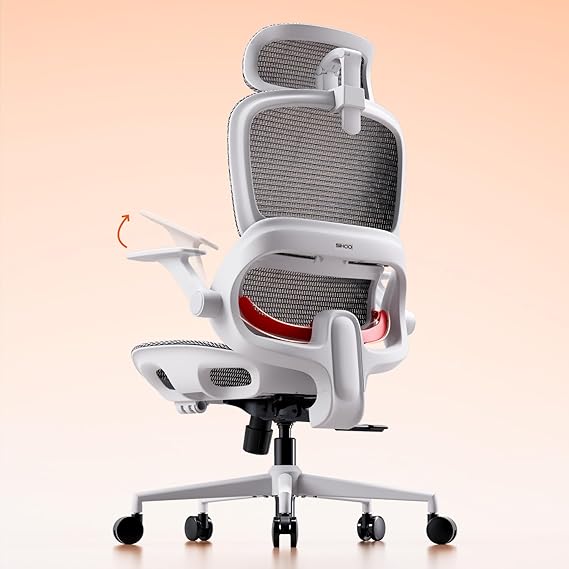 SIHOO B100 Mesh Ergonomic Office Chair with Adaptive Lumbar Support