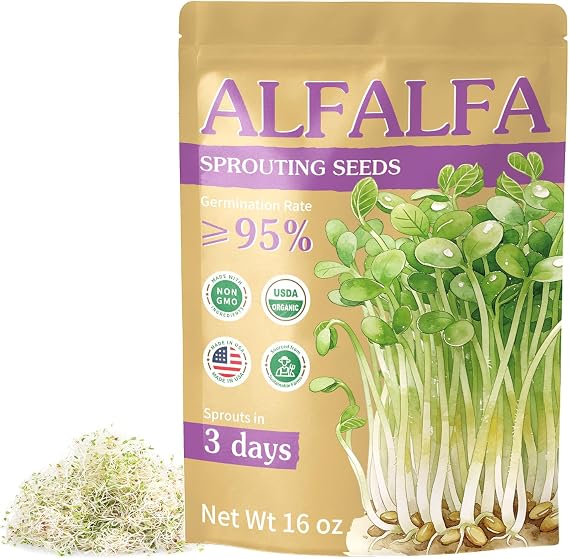 Majero Organic Alfalfa Sprout Seeds 16 oz