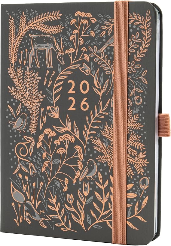 Boxclever Press Everyday 2026 Diary runs Jan - Dec'26. Diary 2026 Week to View with Dotted Note Pages. Compact & Light - The Perfect 2026 Planner & Notebook In One! 17 x 12.5cm