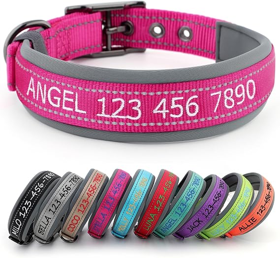 Personalized Dog Collar, Custom Embroidered Name & Phone Number