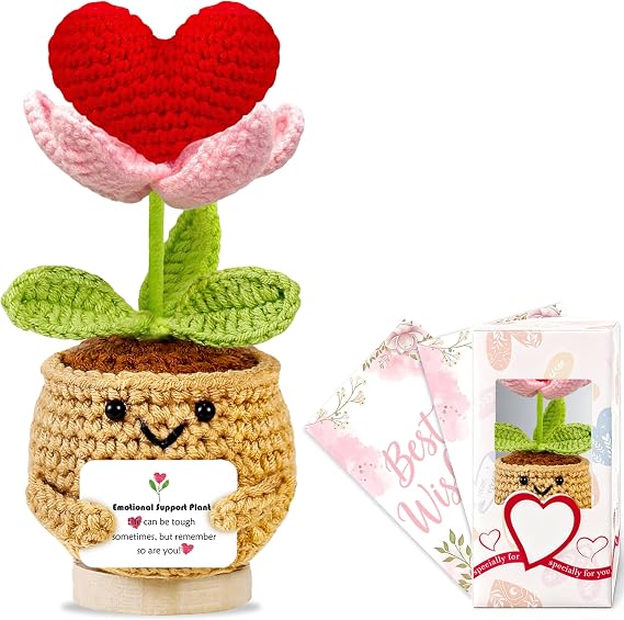 Positive Emotional Support Gift for Women Motivational Plant Crochet With Inspirational Card Christmas,Birthday Gifts for Mum,Friend,Colleagues Funny Office Desk Accessories Decor for Women Cute Stuff