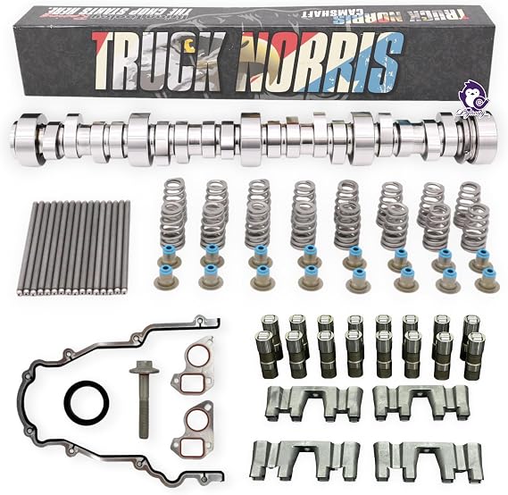 Dynosty BTR TRUCK NORRIS Cam Kit with Pushrods, Delphi Lifters & Trays LS 4.8 5.3 6.0