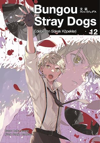 Bungou Stray Dogs 12