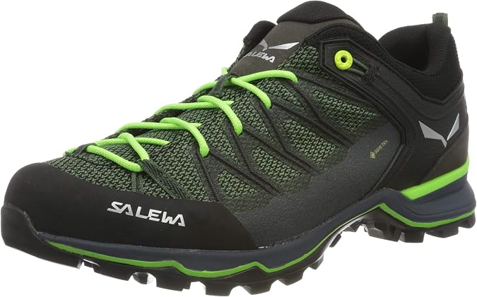 Salewa Mountain Trainer Lite Gore-Tex® Men's Shoes