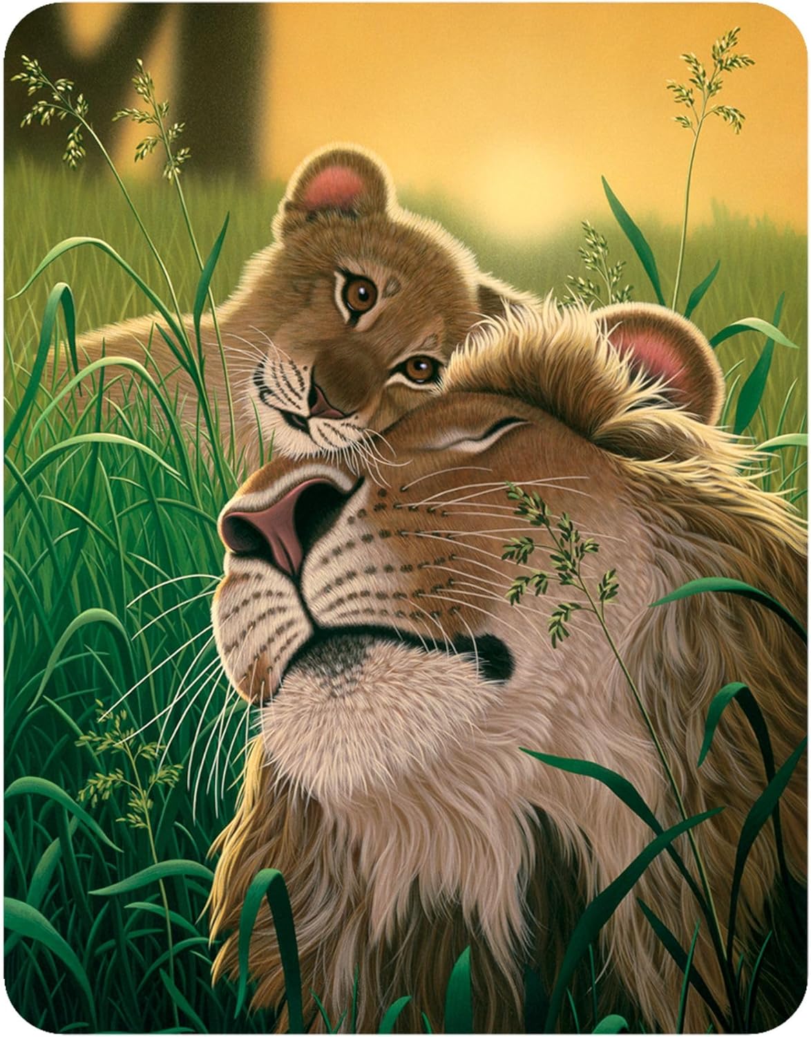 Magnet - A Fathers Love from Deluxebase. Lenticular 3D Lion Fridge Magnet. Magnetic Decor for Kids and Adults with Artwork Licensed from Renowned Artist, Schim Schimmel