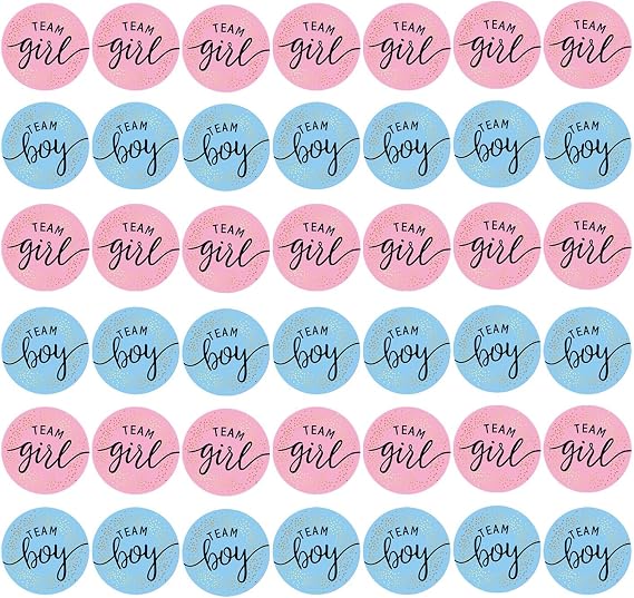 96 Pcs Gender Reveal Stickers, Team Boy & Girl Stickers for Gender Reveal