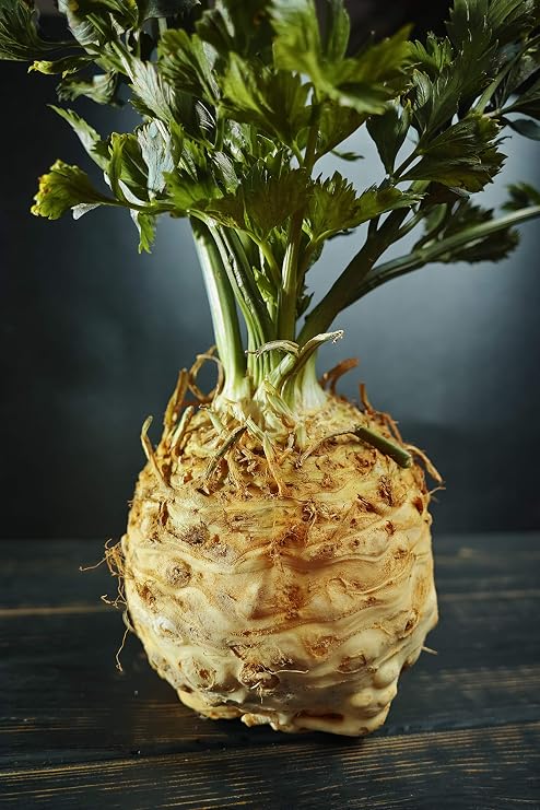 Giant Prague Celeriac - Celery Seeds