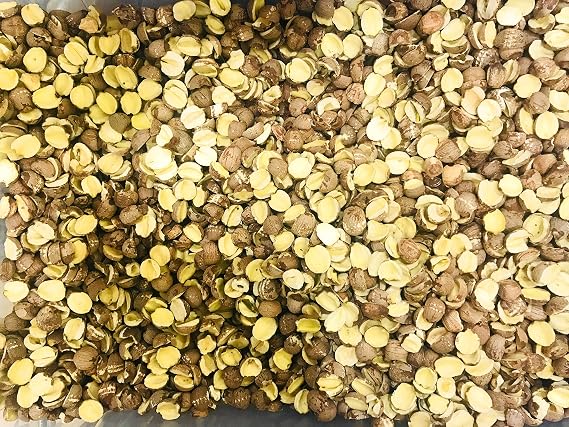 Opened Lotus Seed with Skin 2 LB