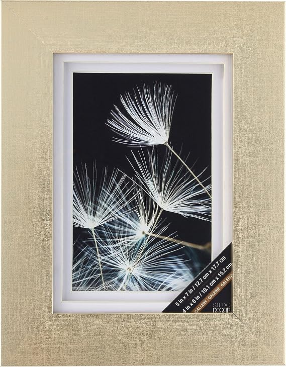 Studio Decor Gallery Champagne Frame with Double Mat